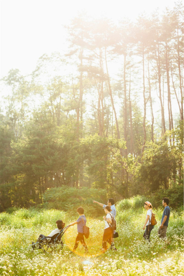 山へのキャンプ