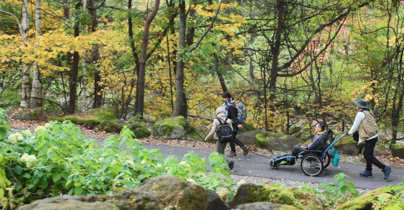自然を楽しみながら山を登ります
